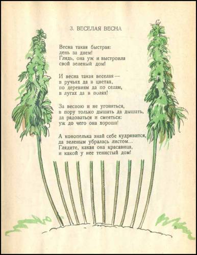 1926cannabis05